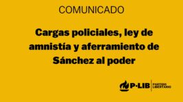 Cargas policiales, ley de amnistía y aferramiento de Sánchez al poder